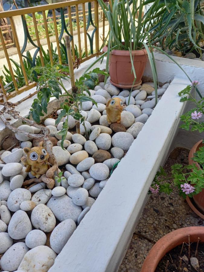 Apartamento Alexandros Cosy House For Family Vacation La Canea Exterior foto