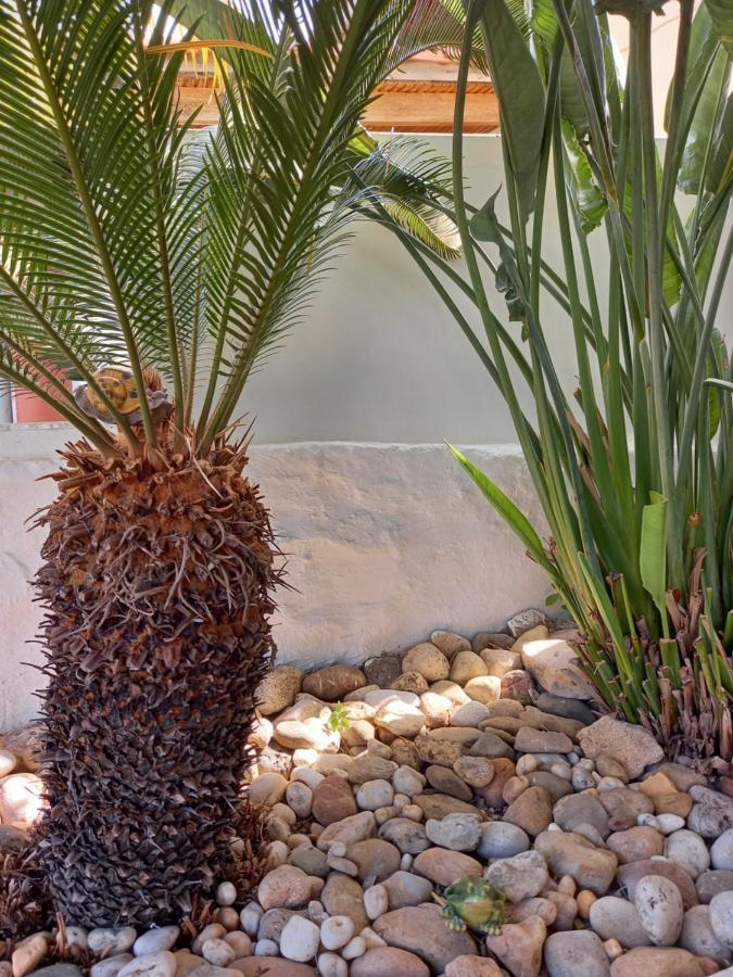 Apartamento Alexandros Cosy House For Family Vacation La Canea Exterior foto