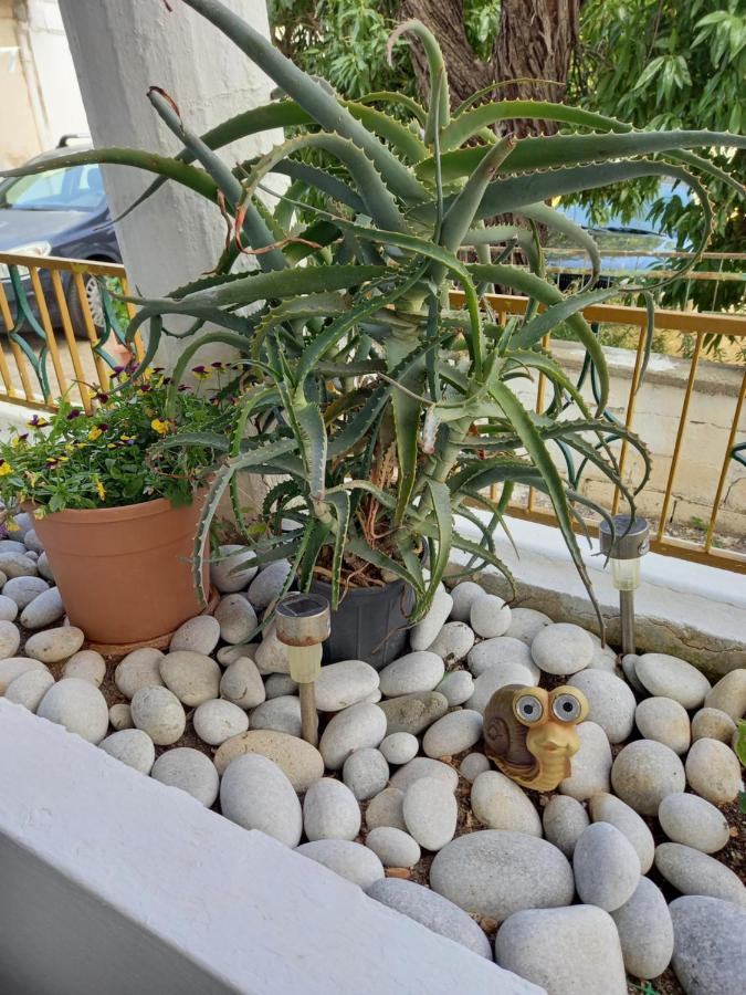 Apartamento Alexandros Cosy House For Family Vacation La Canea Exterior foto